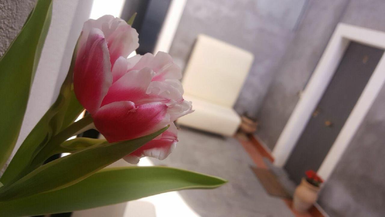I Cappuccini Rooms Catania Luaran gambar